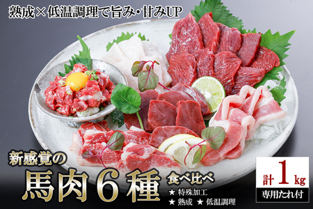 【令和8年1月出荷分】馬肉 盛り合わせ 6種 1kg 特許製法 氷温熟成 低温調理 レア 赤身 フタエゴ ハツ サガリ ユッケ コウネ 小分け 焼くだけ簡単 専用醤油 タレ付 真空 熊本 阿蘇 小国町