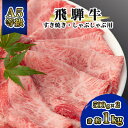 【ふるさと納税】飛騨牛A5等級　モモ・カタ肉スライス　約1kg(500g×2)【配送不可地域：離島】【1125925】