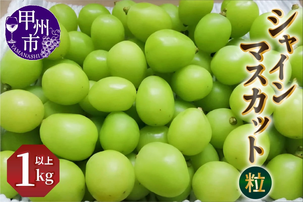 
            シャインマスカット（粒）1kg以上【2026年発送】（NSF）A08-960 【シャインマスカット 葡萄 ぶどう ブドウ 令和8年発送 期間限定 山梨県産 甲州市 フルーツ 果物】
          