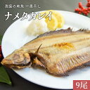 【ふるさと納税】漁協の地魚一夜干し ナメタカレイ 小サイズ(9尾入)[02-868] 北海道 浦河 ふるさと納税 一夜干し ナメタカレイ 干物 送料無料