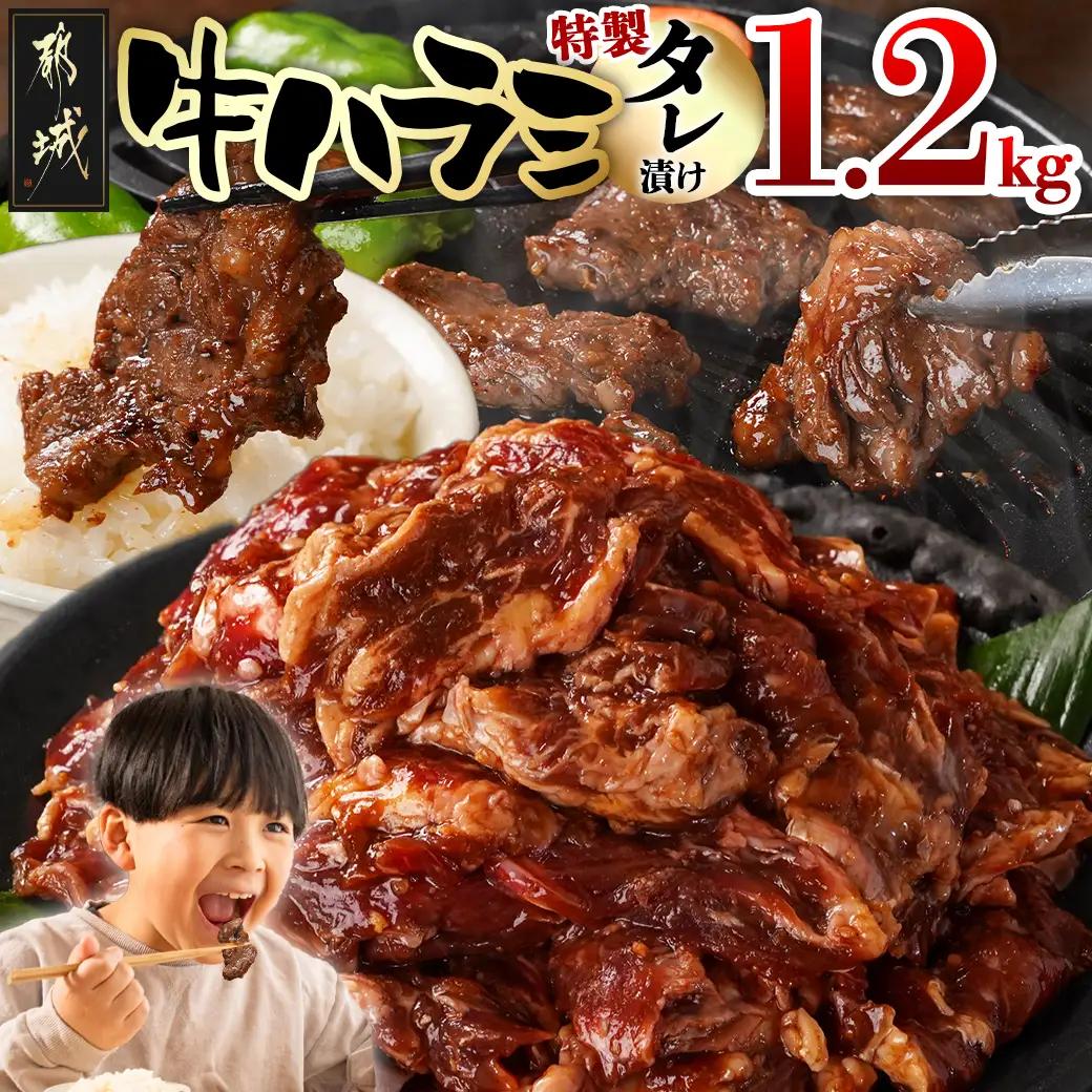 牛ハラミ タレ漬け1.2kg〔12J-33-024-1200g〕_(都城市)  味付き 牛肉 真空 小分け