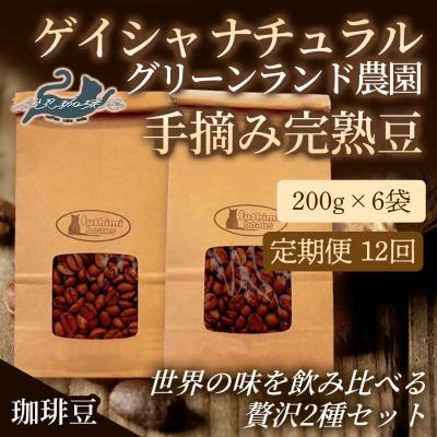 ふるさと納税 福島市 【12回定期便】世界の味飲み比べ贅沢2種【豆】200g×6袋No.3292