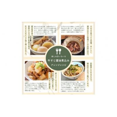ふるさと納税 春日井市 【レトルト食品】牛すじの醤油煮込み (150g×10パック) | 惣菜 おかず お惣菜 おそうざい |  | 02