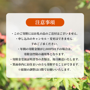 ＜返礼品なし＞大阪府箕面市への寄附(寄附額10,000円)