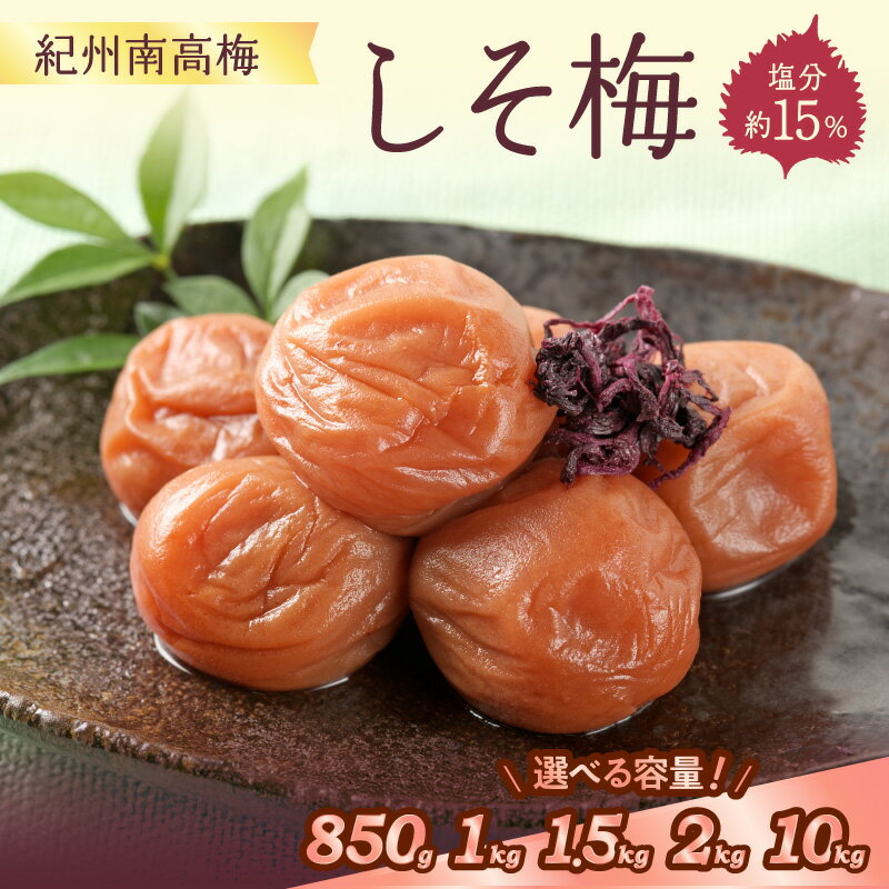 【ふるさと納税】紀州南高梅 しそ梅(塩分15%)850g 1kg 1.5kg 2kg 10kg（和歌山県産） 梅干し 梅干 うめぼし 送料無料 ふるさと納税 梅干し