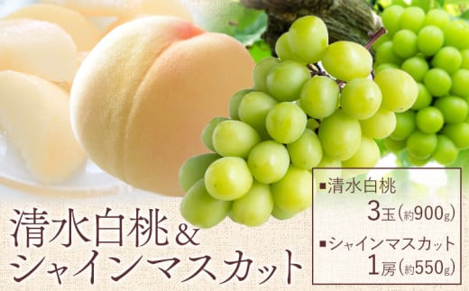 【2025年先行予約】清水 白桃 3玉 計約900g（1玉約300g）シャインマスカット 晴王 1房 550g以上 もも 葡萄 詰合せ 岡山 国産 フルーツ 果物 ギフト 桃茂實苑《7月中旬-8月中旬頃出荷》岡山県 浅口市 フルーツ ぶどう 桃 果物 青果【配送不可地域あり】