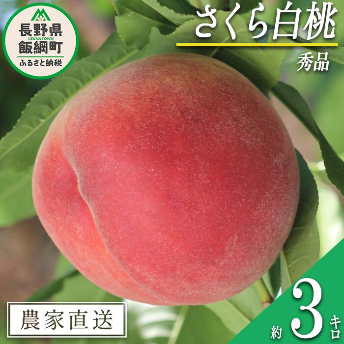 【ふるさと納税】 もも 完熟 さくら白桃 秀品 3kg サイズおまかせ 白桃 井澤農園配送先は本州限定 令和7年度収穫分 エコファーマー認定 長野県 飯綱町 〔 信州 果物 フルーツ 大玉 モモ 桃 長野 18000円 予約 農家直送 〕発送時期：2025年9月中旬〜2025年10月上旬