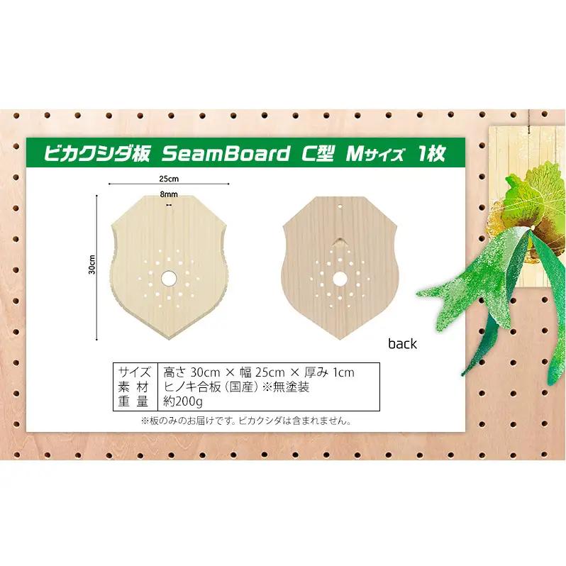 ビカクシダ板 SeamBoard C型 Mサイズ ビカクシダ コウモリラン 板付け 壁掛け 観葉植物 植物 おしゃれ インテリア 室内 無塗装 ギフト プレゼント 育てやすい 株式会社アサヒ 送料無料