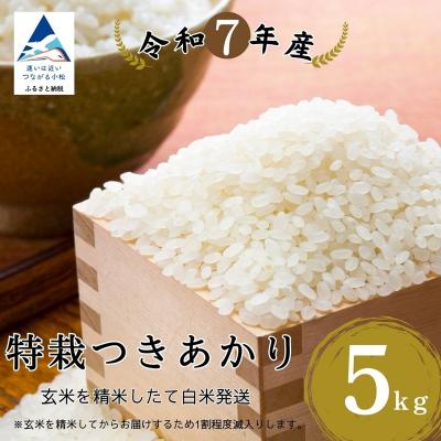 ふるさと納税 小松市 特栽つきあかり 精米 白米 (玄米5kgを精米したて白米発送) 令和7年度産