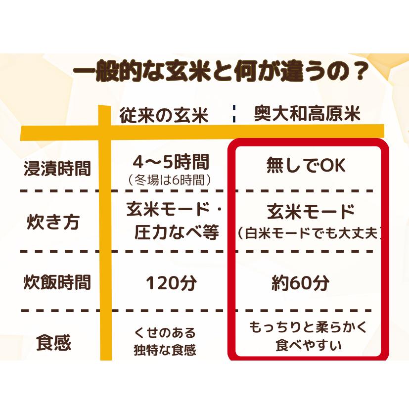 先行予約販売★自然栽培米★新米【令和6年産】玄米　 奥大和高原米3kg ９月末より順次発送,自然栽培米,新米,令和6年産,玄米,奥大和高原米,農家やまおか,無農薬,国産,お米,奈良県,宇陀市無農薬_イ