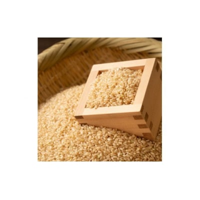 ★令和6年10月から発送予定★甲佐町　上田晋也さんが育てた美味しいお米【玄米30kg】