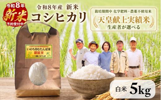 【2026年9月中旬より順次発送】令和8年産 新米 コシヒカリ 5kg 天皇献上米 (栽培期間中）化学肥料・農薬不使用米 白米 精米 こめ ご飯 備蓄米 ごはん 環境 に優しい 小松島 上王子特質米 5kg