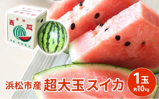 【浜松市産】超大玉スイカ 1玉 約10kg すいか スイカ 西瓜 果物 くだもの 大玉 フルーツ プレゼント お中元 静岡 浜松市【配送不可：離島】  [№5360-0919]