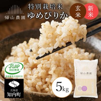 ふるさと納税 知内町 【令和7年産新米予約】玄米 ゆめぴりか 5kg　特別栽培米産地直送《帰山農園》