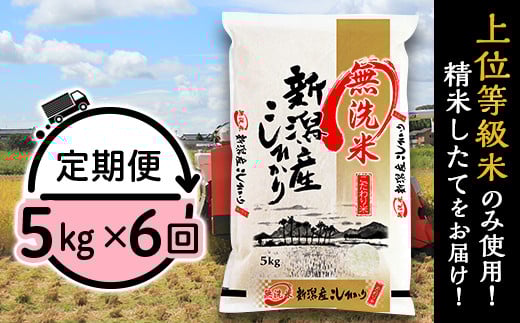 31-M56【無洗米】新潟県産コシヒカリ5kg【6ヶ月連続お届け】