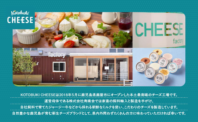 901-1 ナチュラルチーズセット　KN087-001