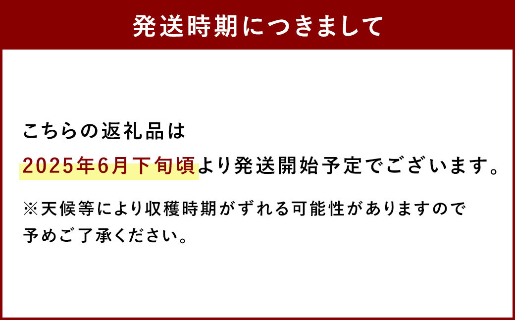相良村産 ブルーベリー 1.2kg
