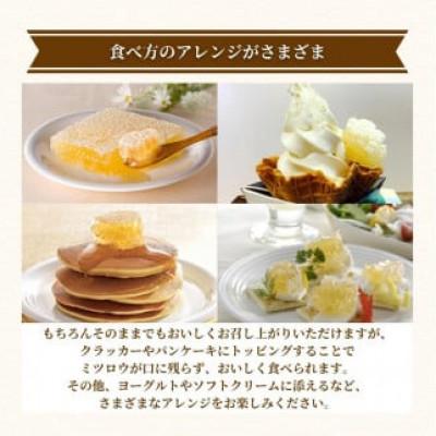 ふるさと納税 鏡野町 巣蜜(ハンガリー産)200g(4216) |  | 03