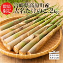 【ふるさと納税】数量限定 期間限定 宮崎県高原町産「大名たけのこ」約2kg 5～6本 アク抜き不要 甘味と旨味 コリコリ食感 霧島の恵み 筍 炊き込みご飯 天ぷら 味噌汁 煮物 肉巻き 旬の味覚 初夏の味覚 南九州の味わい 珍品 地元の味 送料無料 オンラインワンストップ対応