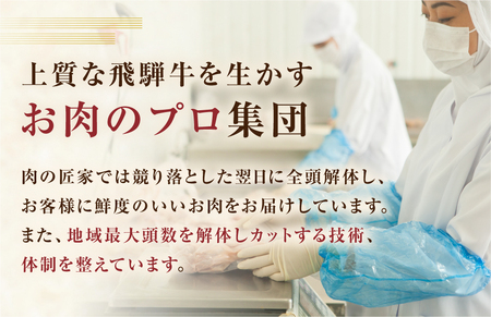 A5等級 飛騨牛 焼肉 4種 食べ比べセット 計600g 赤身 霜降赤身 カルビ 霜降り肉 部位 肉 牛肉 お肉 和牛 冷凍 岐阜県 国産 ブランド牛 鍋 グルメ お取り寄せ 化粧箱入り 27000円