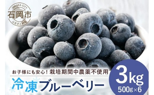 【 2026年 先行予約 】元気に育ったブルーベリー 3kg 冷凍 ( 500g 6パック ) 農薬 栽培期間中 不使用 果物 フルーツ 3キロ 手摘み 急速冷凍 国産 産地直送 農家直送 産直 夏 7月 以降 発送 くだもの スムージー ジャム ヨーグルト デザート 茨城 茨城県 石岡市 (A11-007)