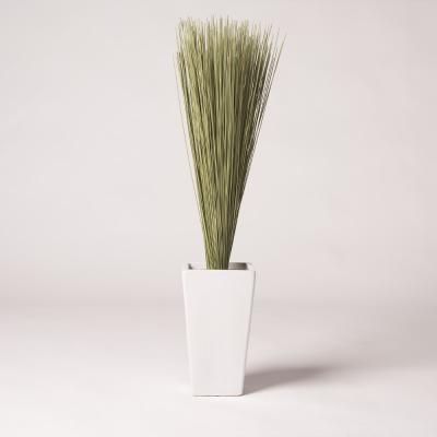 ふるさと納税 八代市 八代市 装飾い草「香雅美草」一束(約68cm×約3.5cm)x5本セット_134-4567-B |  | 01