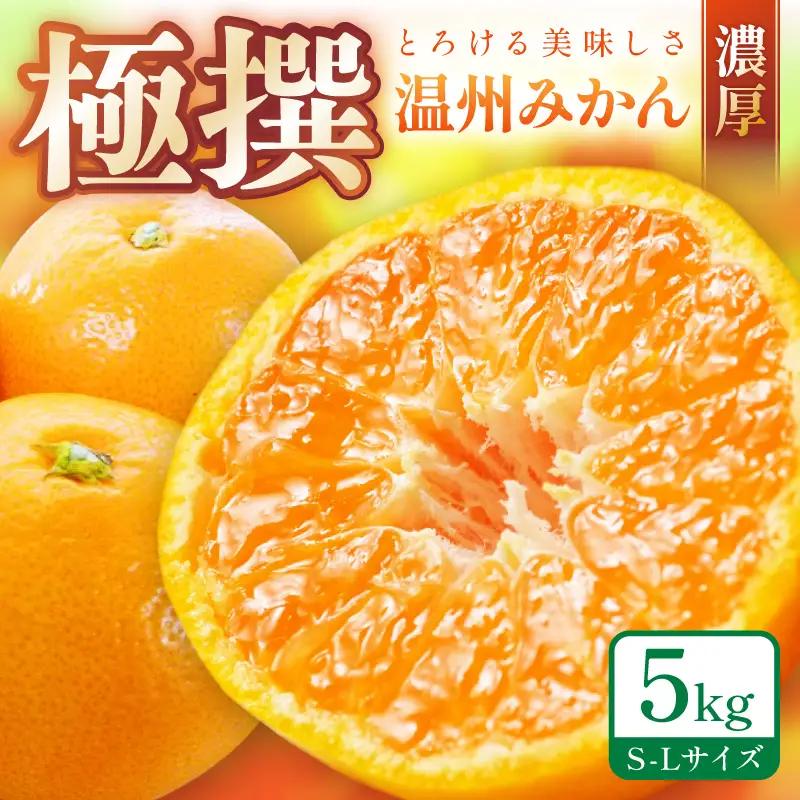 みかん 温州みかん 5kg《先行予約》【0057-4】 