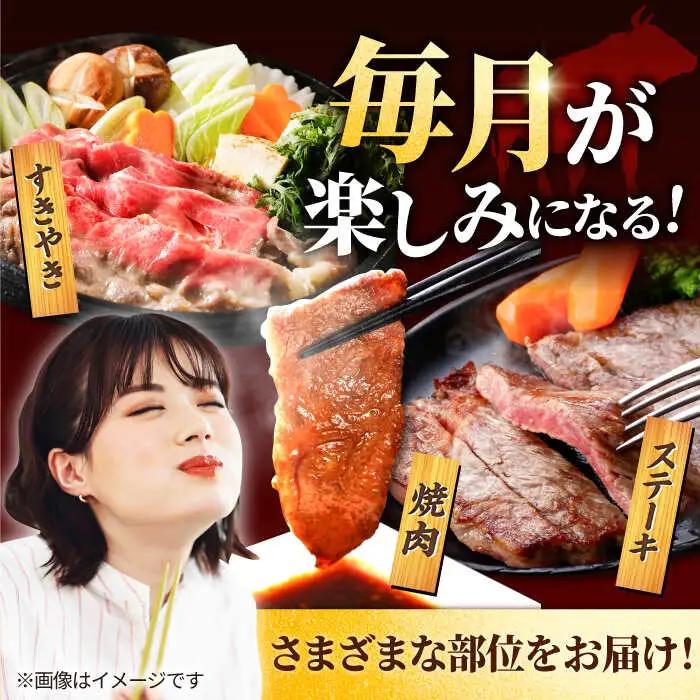 【6回定期便】佐賀牛 贅沢 霜降り 定期便 / 牛肉 [IAH087]