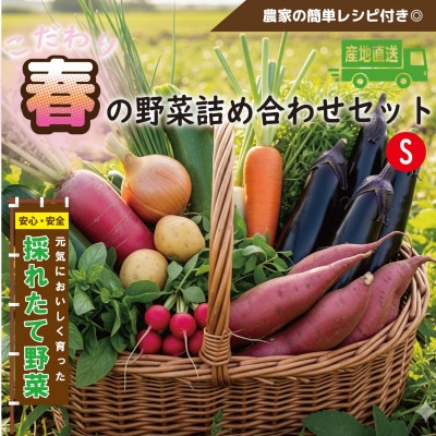 
            ＜こだわり春の野菜詰め合わせセット＞Sサイズ　栽培期間中農薬・化学肥料・除草剤不使用の旬野菜【1679691】
          