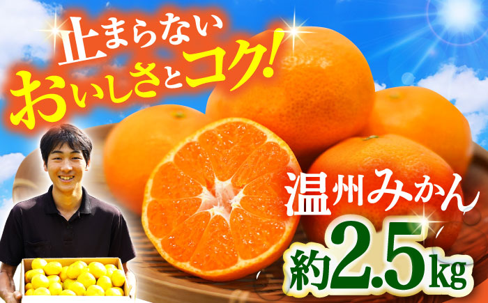 〈先行予約〉【11月中旬頃～1月中旬配送】長崎県産 温州みかん 約2.5kg 大村市 山光農園 [ACAI001]