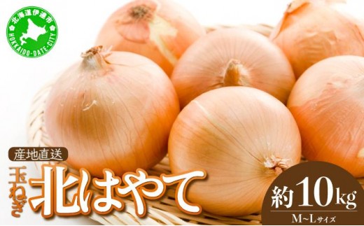 
                  【 2026年 発送 】 先行予約 北海道 玉ねぎ 10kg M-L混合 北はやて【55250515】タマネギ たまねぎ 玉葱 玉ネギ オニオン 伊達野菜  野菜 新鮮 採れたて 産地直送 サラダ マリネ 肉じゃが オニオンスープ 木須農園 送料無料
                