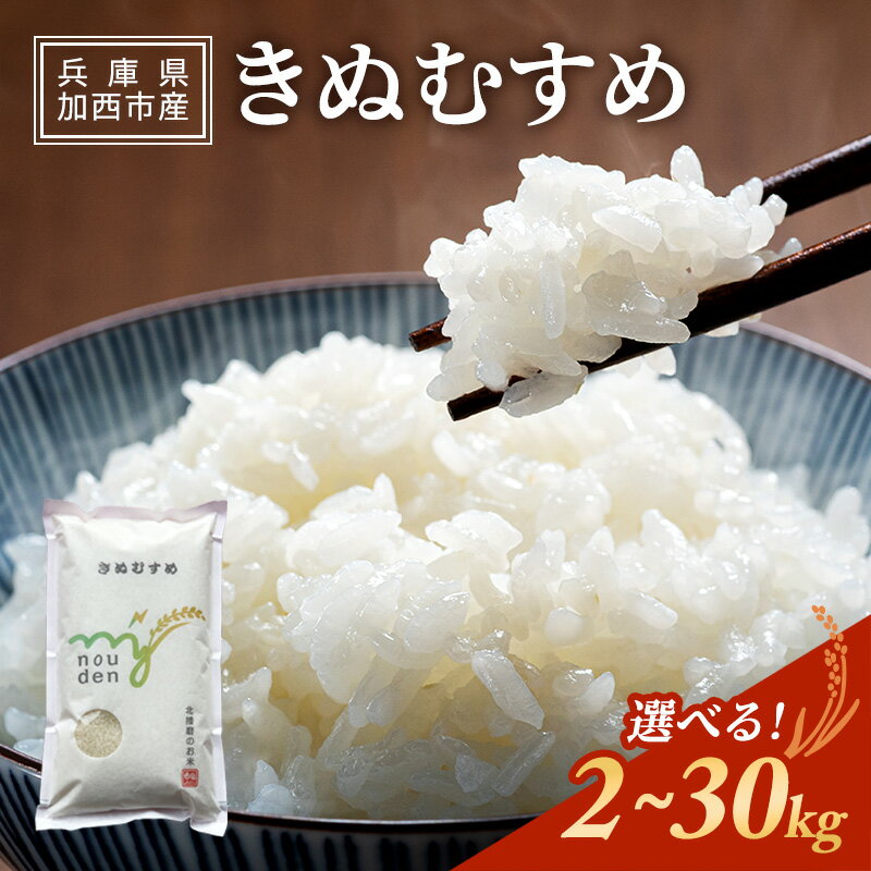 【ふるさと納税】お米 令和7年産 きぬむすめ 白米 2kg～30kg(3kg×1袋～10袋) 米 単一原料米 おいしい 事業者支援 精米 国産 ごはん ご飯 白飯 小分け 百合農園