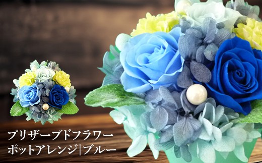
                  プリザーブドフラワー　ポットアレンジ（ブルー）【14001801】
                