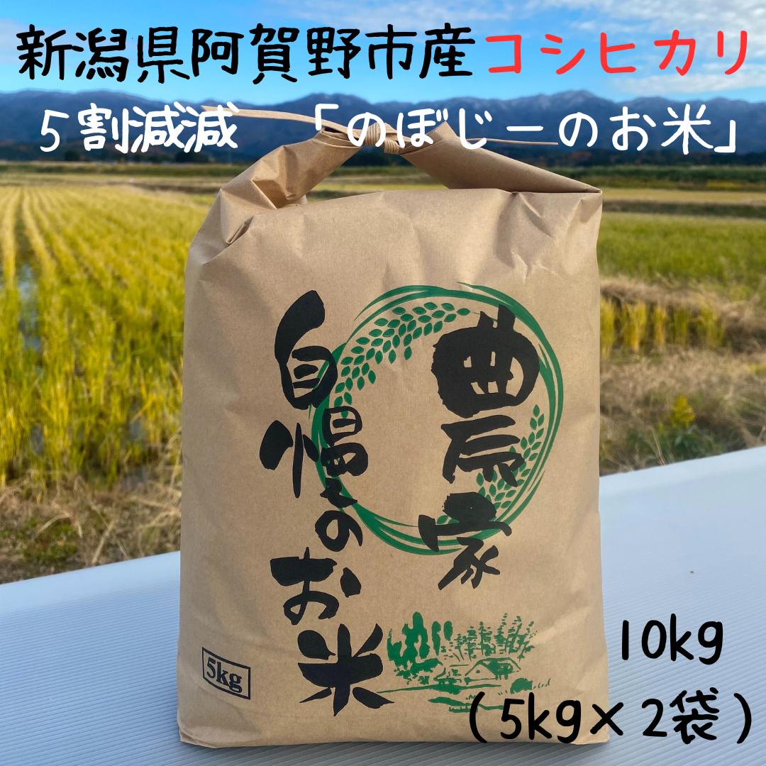 
                  【令和7年産】阿賀野市産 コシヒカリ 「のぼじーのお米」 100% 10kg (5kg×2袋) 5割減減 精米 白米 3J02030
                