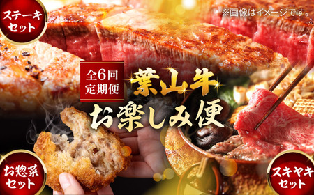 【全6回定期便】毎月内容が変わる！葉山牛お楽しみ便 牛肉 食べ比べ[ASAP088]