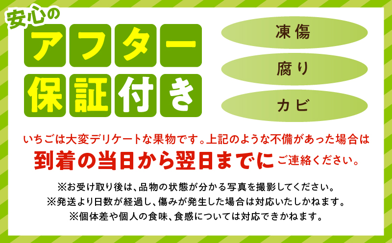 【先行予約】苺音スタンダードハーフ ～春の大粒のさぬきひめいちご～ 約425g | スイーツ いちご イチゴ ストロベリー さぬきひめ さぬき姫 苺 冷蔵 フルーツ 旬 果物 香川県 デザート 青果物