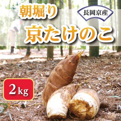 ふるさと納税 長岡京市 【京の伝統野菜】朝掘り京たけのこ　2kg