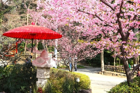深大寺そば満喫チケット 300円券×8枚 | 食事券 深大寺 観光 深大寺そば組合