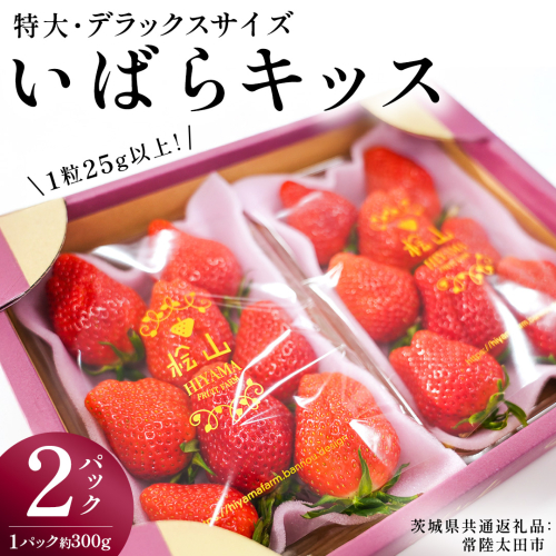 【 2026年 先行予約 】 いばらキッス ( 約300g × 2パック ) 特大 ・ デラックスサイズ （茨城県共通返礼品／常陸太田市） 茨城県品種 2026年1月から発送開始 フルーツ 苺 イチゴ いちご 新鮮 朝採れ 茨城県 桧山FRUITFARM [DY020sa]