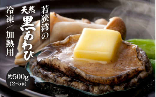 日本海若狭湾の天然黒アワビ 約500g（2～5個） 入手困難 あわび アワビ 鮑 クロアワビ 黒あわび 冷凍・加熱用【 2024年10月中旬まで発送】[m17-b001]