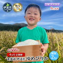 【ふるさと納税】4ヵ月 定期便【令和5年度】 北海道 伊達産 ゆめぴりか 2kg 精米　【定期便・ お米 ブランド米 白米 ご飯 おにぎり お弁当 和食 粘り やわらかい 冷めても美味しい 】　お届け：10月中旬より順次出荷