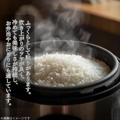 ふるさと納税 日向市 「ひむか米」コシヒカリ 5kg 精米 令和7年産　新米(日向市) |  | 01