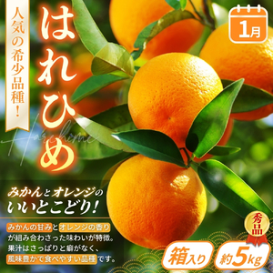 【定期便4回】フルーツ王国かつらぎ町よりお届け！旬のフルーツ定期便【kgr025】