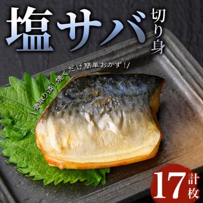ふるさと納税 曽於市 骨取り塩サバ切身(17枚/約1kg)