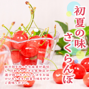 【先行予約】 令和8年産 さくらんぼ 300g ( 100g × 3パック ) 品種おまかせ ( 佐藤錦 紅秀峰 紅てまり 大将錦 いずれか )