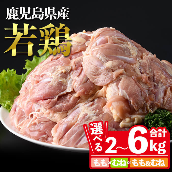 【ふるさと納税】＜選べるセット内容！＞鹿児島県産若鶏もも・むね (合計2～6kg・1P約500g) 国産 鹿児島県産 小分け 冷凍 若鶏 鶏肉 鶏 肉 もも肉 モモ もも モモ肉 むね肉 ムネ肉 ムネ むね から揚げ 唐揚げ チキンステーキ チキン サラダチキン 炒め物【南九フーズ】