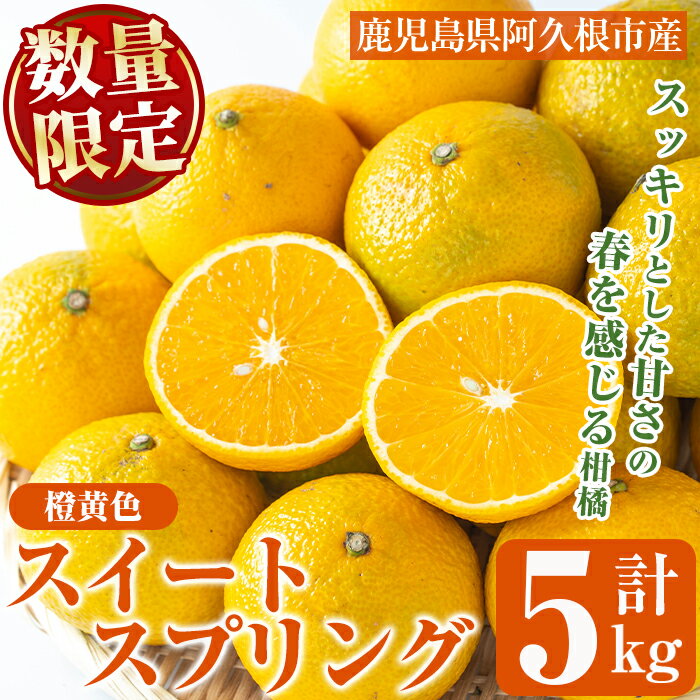 【ふるさと納税】数量限定！スイートスプリング(橙黄色)5kg！国産 柑橘類 みかん ミカン 果物 フルーツ【桐野柑橘株式会社】a-12-236-z