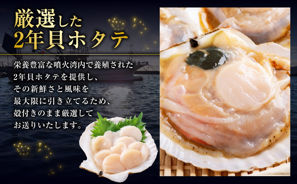 【先行予約】北海道 豊浦町 殻付きホタテ貝  2年貝  約5kg 【2027年1月下旬～3月下旬発送予定】 ほたて 帆立 シーフード 海鮮 BBQ