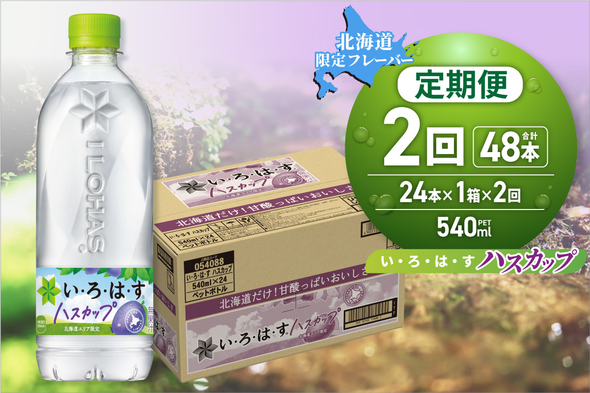 【２ヶ月定期便】い・ろ・は・す ハスカップ　540mlPET×24本｜コカ・コーラ 飲料 ドリンク 飲み物 水 北海道 札幌市