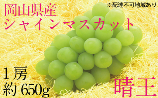 ぶどう 2026年 先行予約 シャイン マスカット 晴王 1房 約650g ブドウ 葡萄 岡山県産 国産 フルーツ 果物 ギフト デザート 食後 酸味が少ない 産地直送